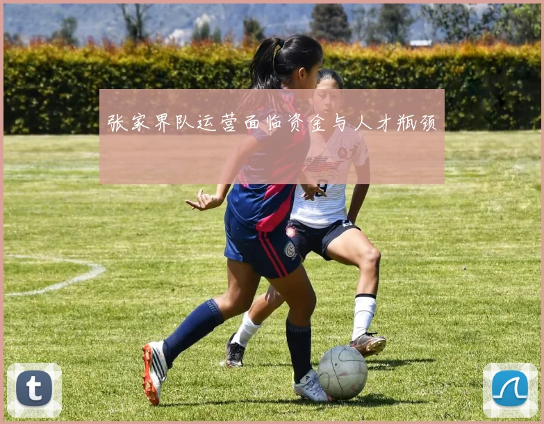 张家界队运营面临资金与人才瓶颈