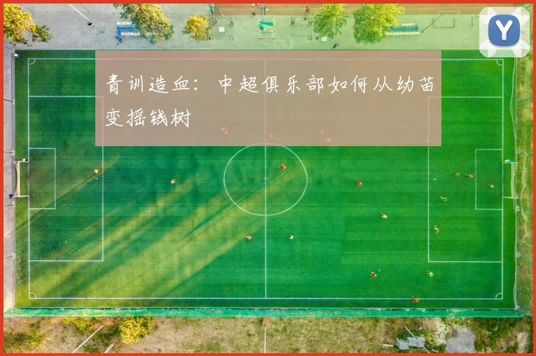 青训造血：中超俱乐部如何从幼苗变摇钱树