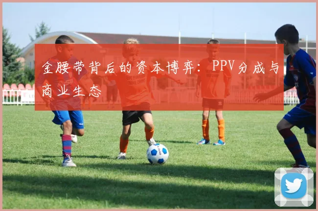 金腰带背后的资本博弈：PPV分成与商业生态